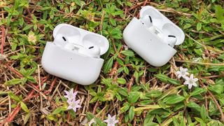 AirPods Pro 2 and AirPods Pro side by side among grass with daisy flowers