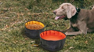 Collapsible dog bowls