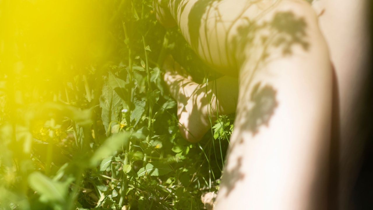 A pair of legs in the grass, under the sunshine