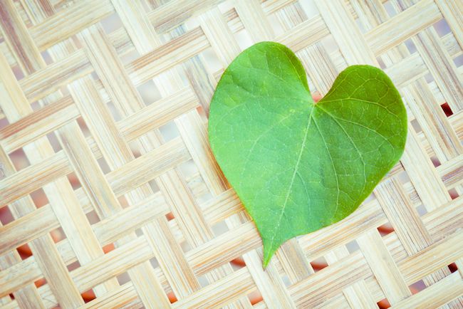 A green leaf in the shape of a heart.