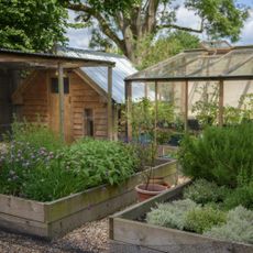 A vegetable plot next to a greenhouse and shed in an English garden