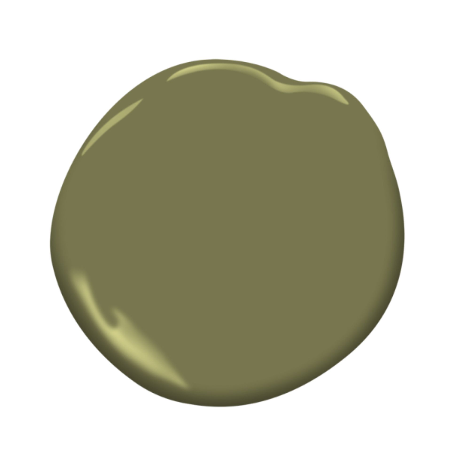 Olive green paint dollop