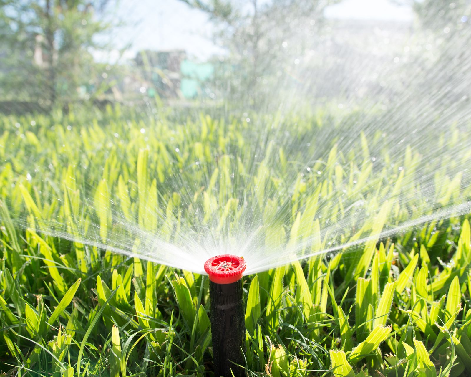 When to blow out sprinklers? Experts give their advice Gardeningetc