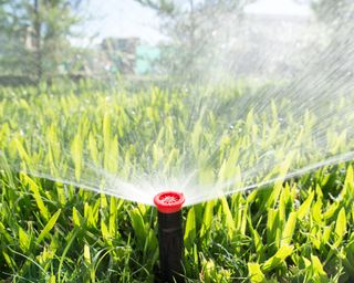 Sprinkler in the garden