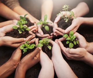 group of community gardeners holding small plants