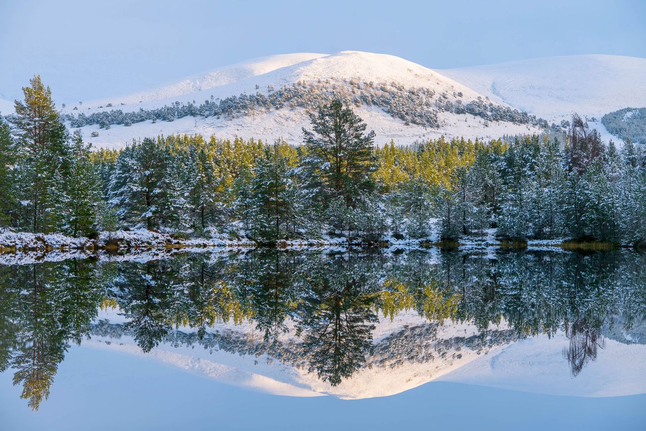 Uath Lochans, photographed by David Lintern, one of the stars of the Wild Nature diary and calendar.