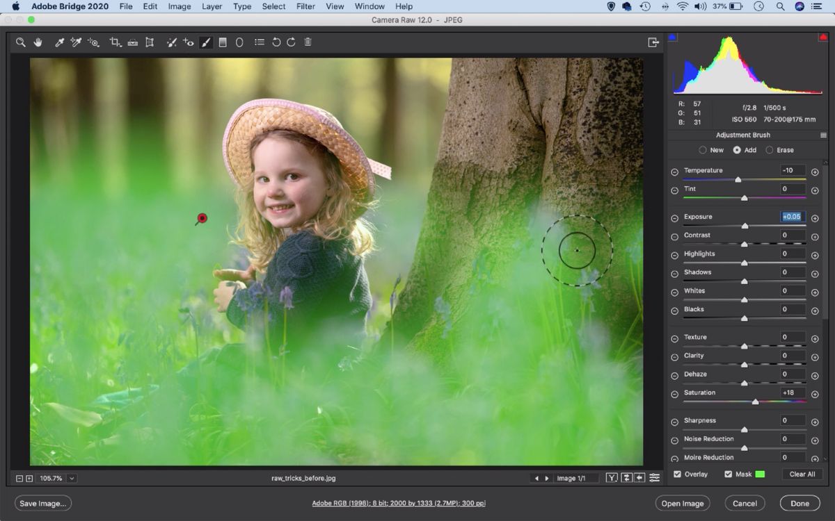 Adobe Camera Raw: Enhance your Raw files easily in Photoshop | Digital ...