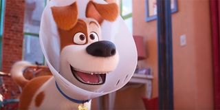 Max wearing the cone of shame in The Secret Life of Pets 2