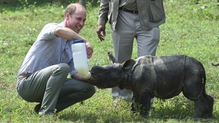 Prince William, Duke of Cambridge feeds a baby rhino