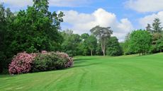 Puttenham Golf Club - Hole 13