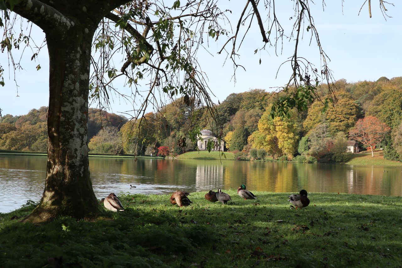 Focusing is straightforward &ndash; just tap on the screen where you want the camera to focus (the distant pavilion in this shot). It&rsquo;s fast, too