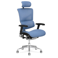 X-Chair X3 A.T.R. Management Office Chair