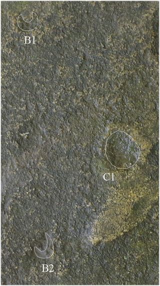 Some of the wells in the stone slab track the moon (B1 and B2 point to moonrises of the "high moon" and C1 points to moonrises of the "low moon").