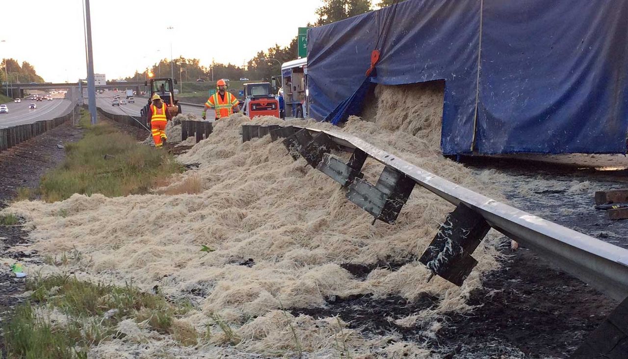 Lorry spills 18,000 kilograms of chicken feathers on a Seattle freeway