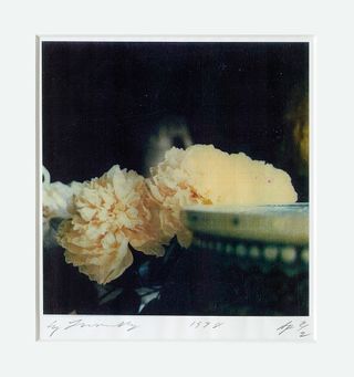 Peonies (Bassano in Teverina), 1980, by Cy Twombly