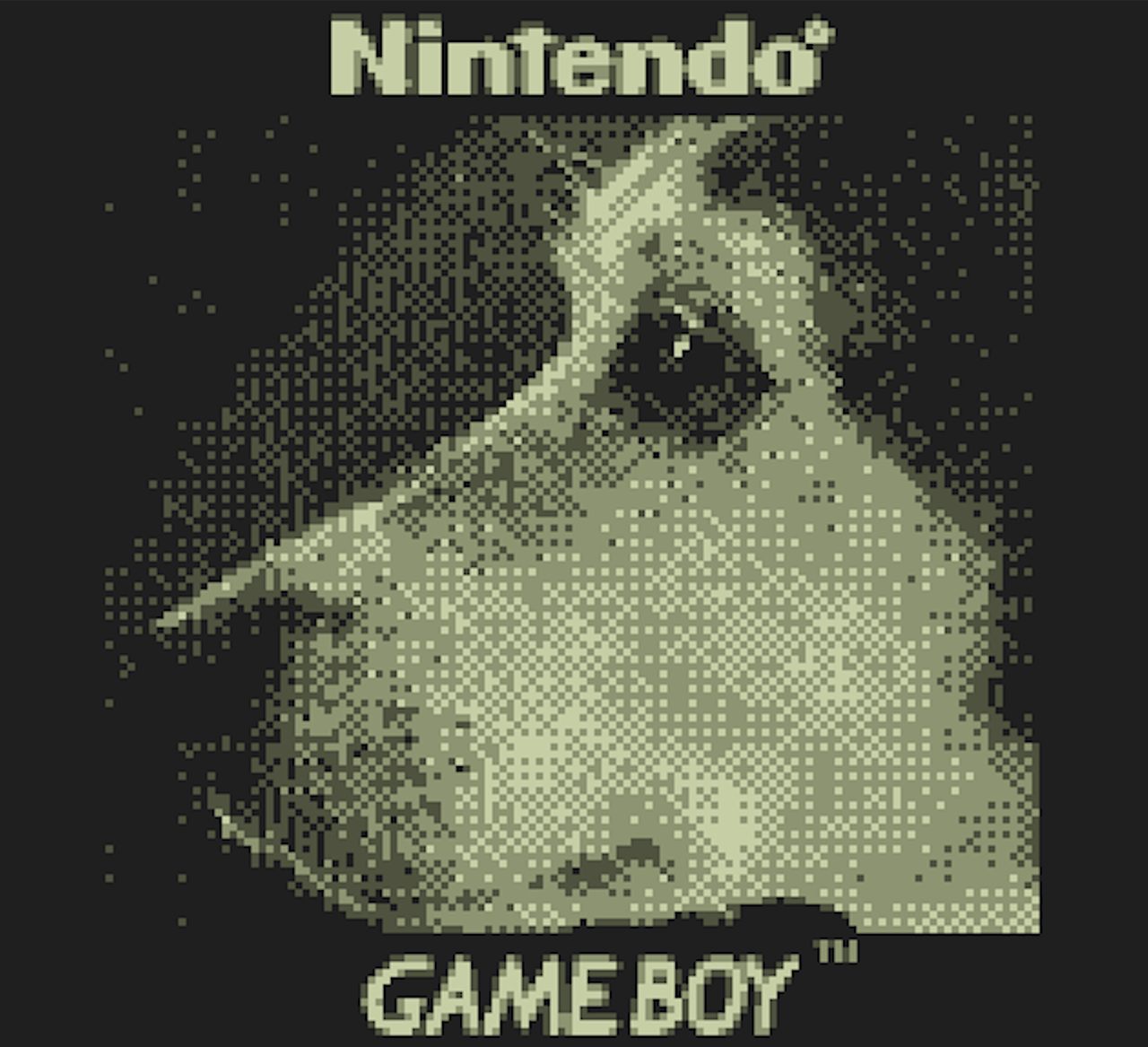This Game Boy Camera can shoot photos of the moon
