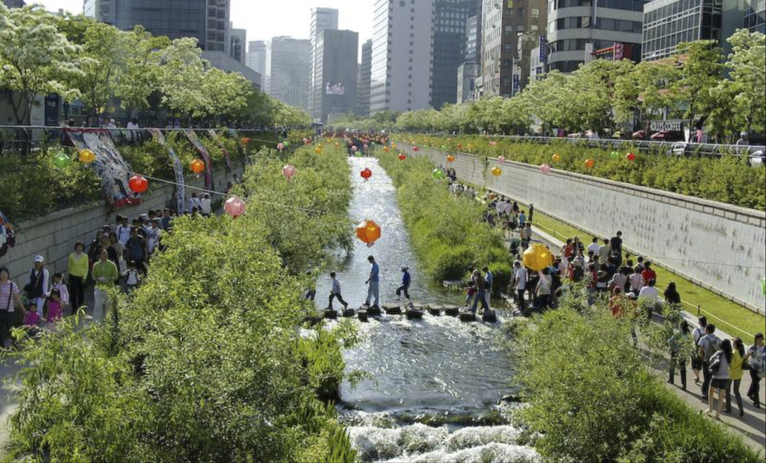 Image of greenery in cities from Flourish book