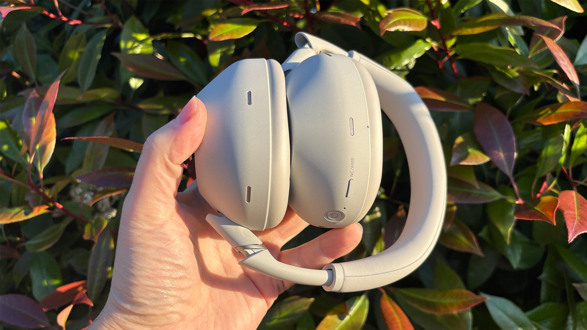 Sony WH-1000XM6 over-ear headphones held in hand in front of leafy bush, earcups together