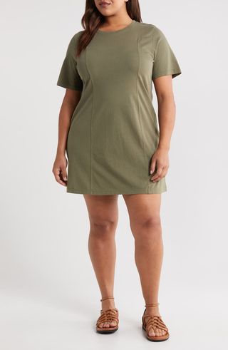 Seamed Cotton T-Shirt Dress