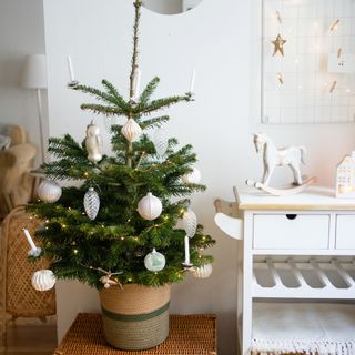 Decorated potted Christmas tree in living room