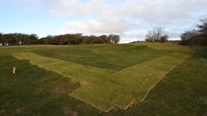Newly laid turf on a golf course