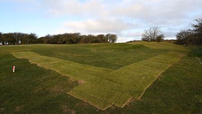 Newly laid turf on a golf course