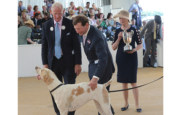 North Cotswold joint-masters Nigel and Sophia Peel take the silverware home following Starburst’s success in the bitch hound championship (credit Ginni Beard)