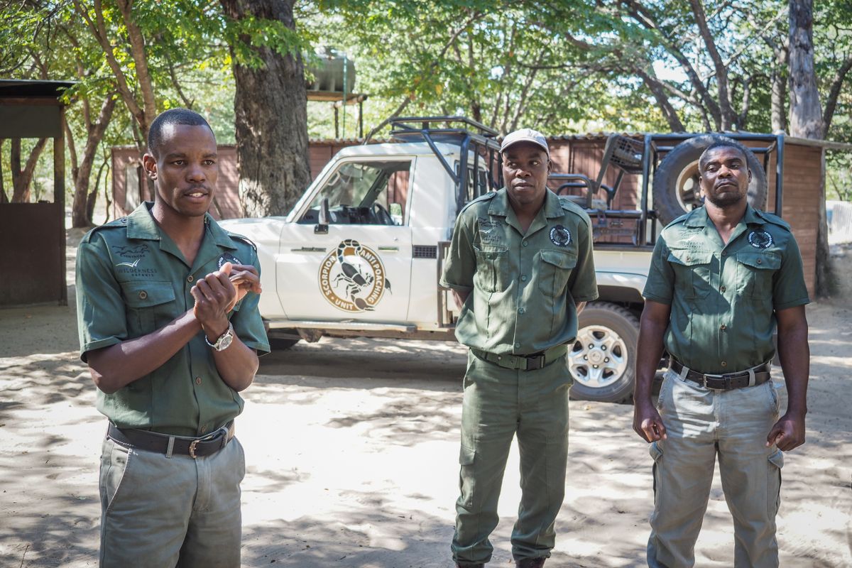 The Scorpions anti-poaching unit