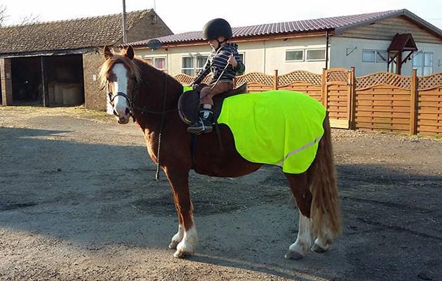“Pumpkin ready to go” — Emma Haroldsdottir
