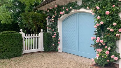 climbing roses on house with garage