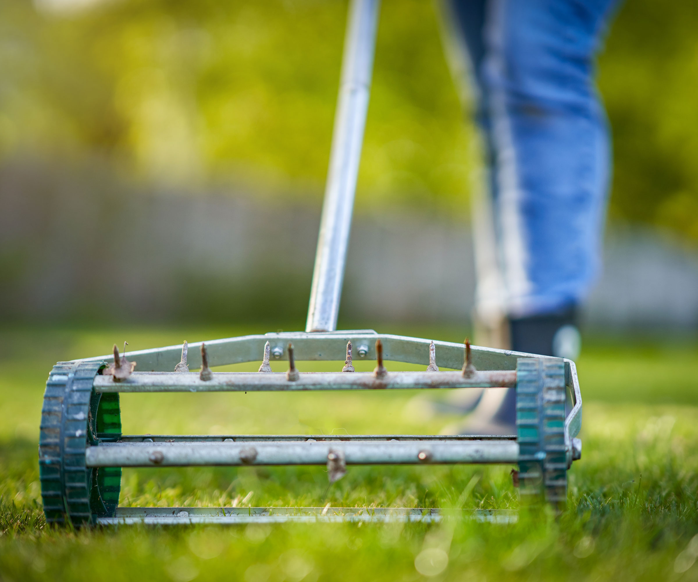rotating lawn aerator being rolled across surface of grass