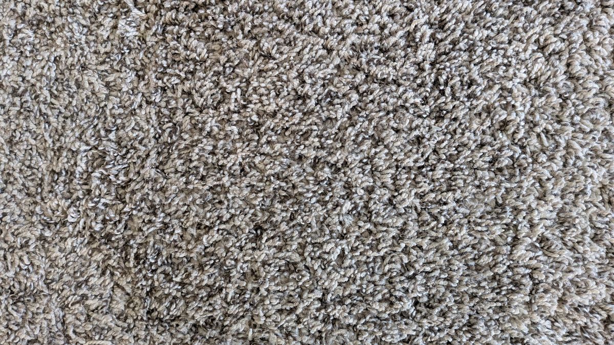 Carpet after second pass with Shark PowerDetect Speed vacuum cleaner on high power