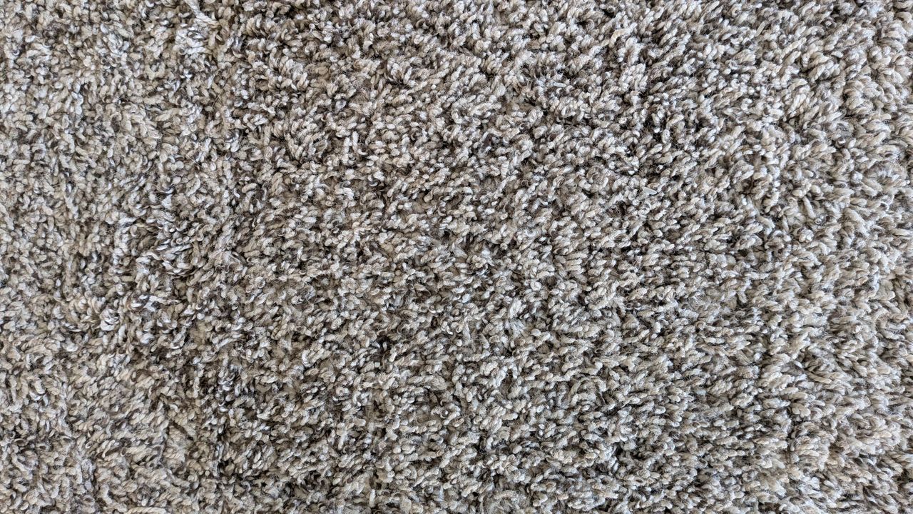 Carpet after second pass with Shark PowerDetect Speed vacuum cleaner on high power