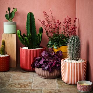 selection of different shaped pots and planters in the corner of a space with pink walls and stone tiled flooring