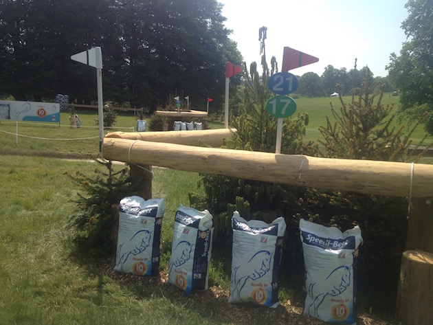 Bramham2015CCI21
