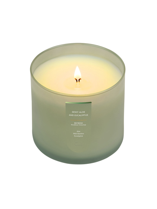 Dewy Aloe and Eucalyptus Candle, 14 oz.