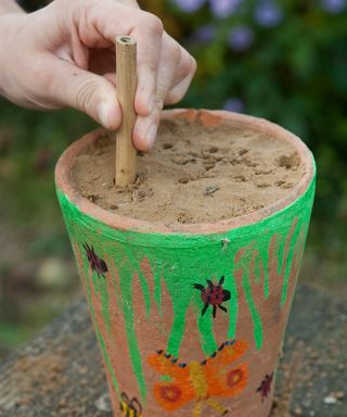simple child's project creating a bug hotel with a pot of sand