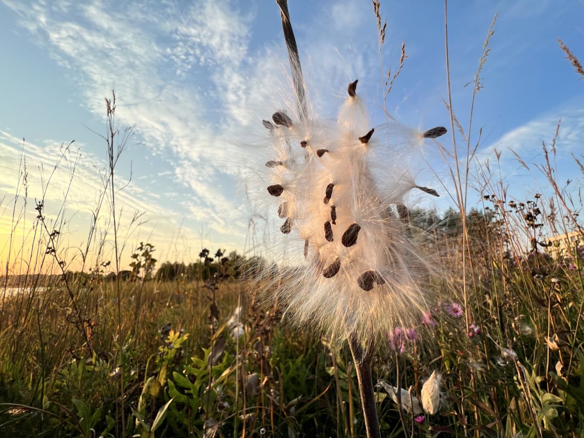 iPhone 13 Pro ultra-wide camera samples