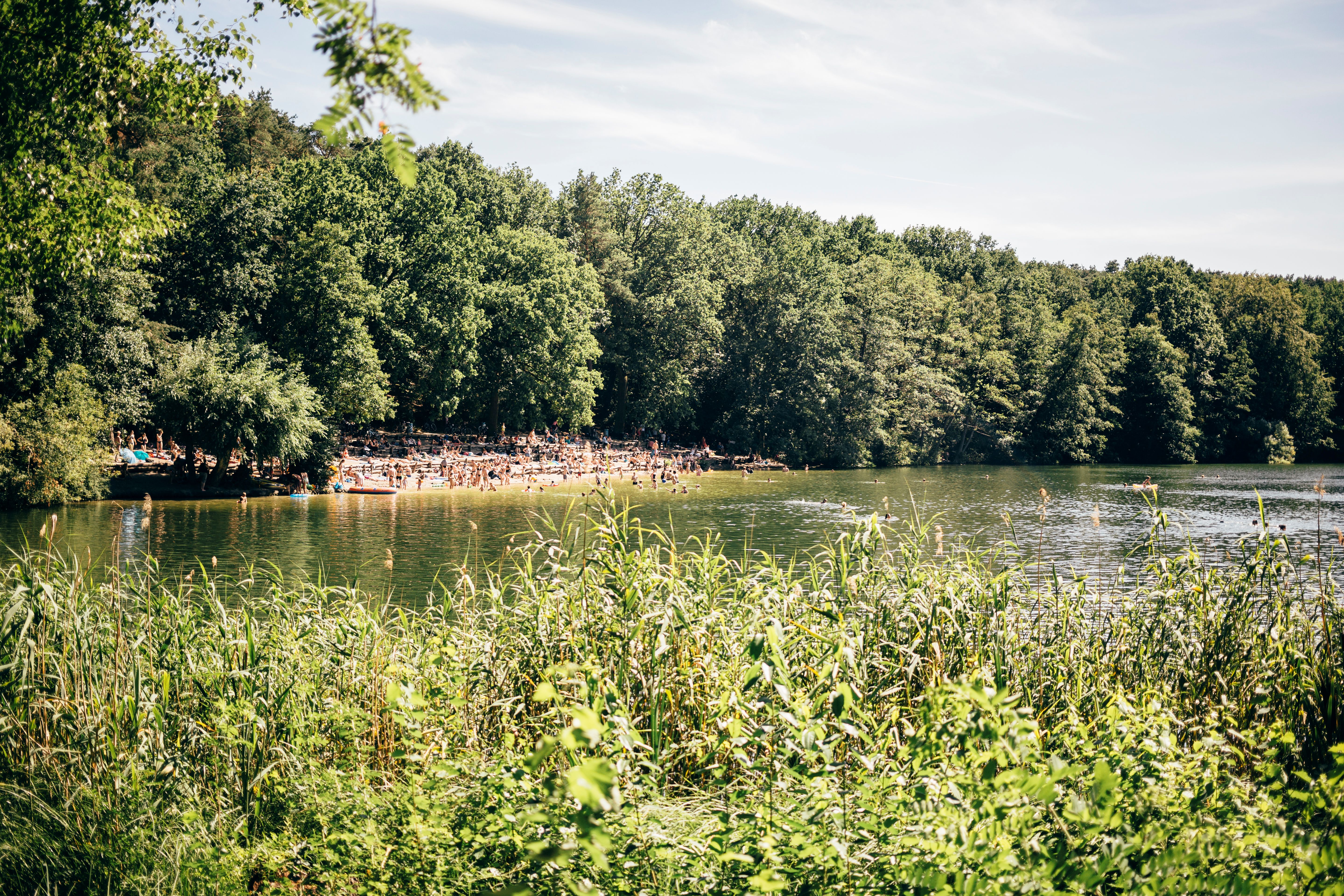 View of a lush lake with people bathing and sunbathing by it on a thin stripe of beach.