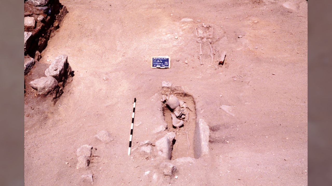 Another view of the burial containing the 5-year-old child and the warrior's head.