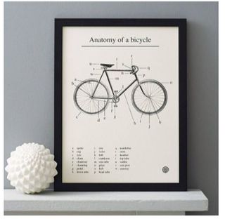 A print showing the anatomy of a bicycle