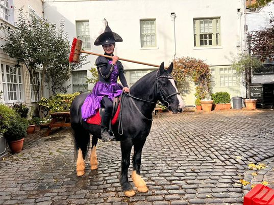 Hyde Park Stables witch Halloween Costume