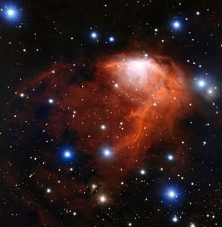 This spectacular view of the nebula RCW 34 showcases a formation that scientists call "champagne flow" as young stars form. The nebula is located in the southern constellation Vela (The Sails) and observed by the European Southern Observatory's Very Large Telescope.