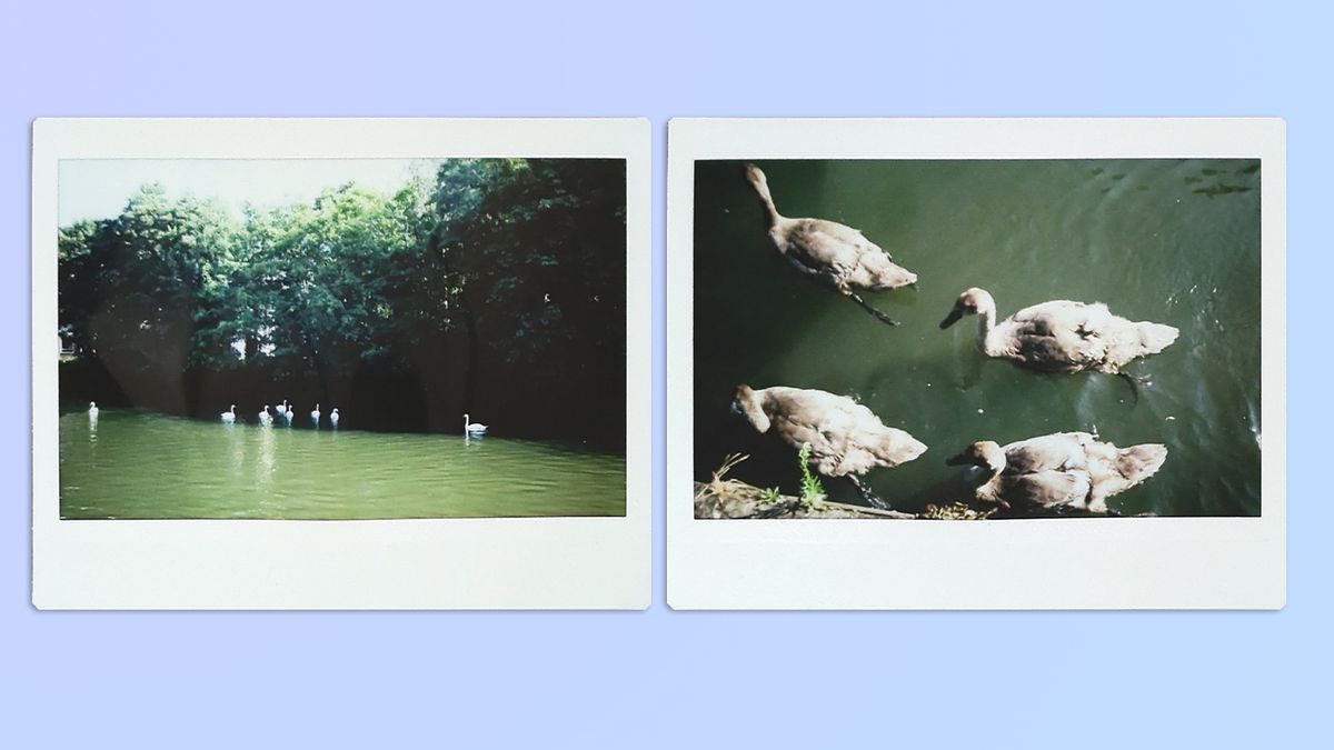 A compilation of photos of nature and streets in Bath, UK, taken on a Fujifilm Instax Wide 400 instant camera