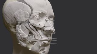 A digital image of one of the facial reconstructions in process from ancient Spain.