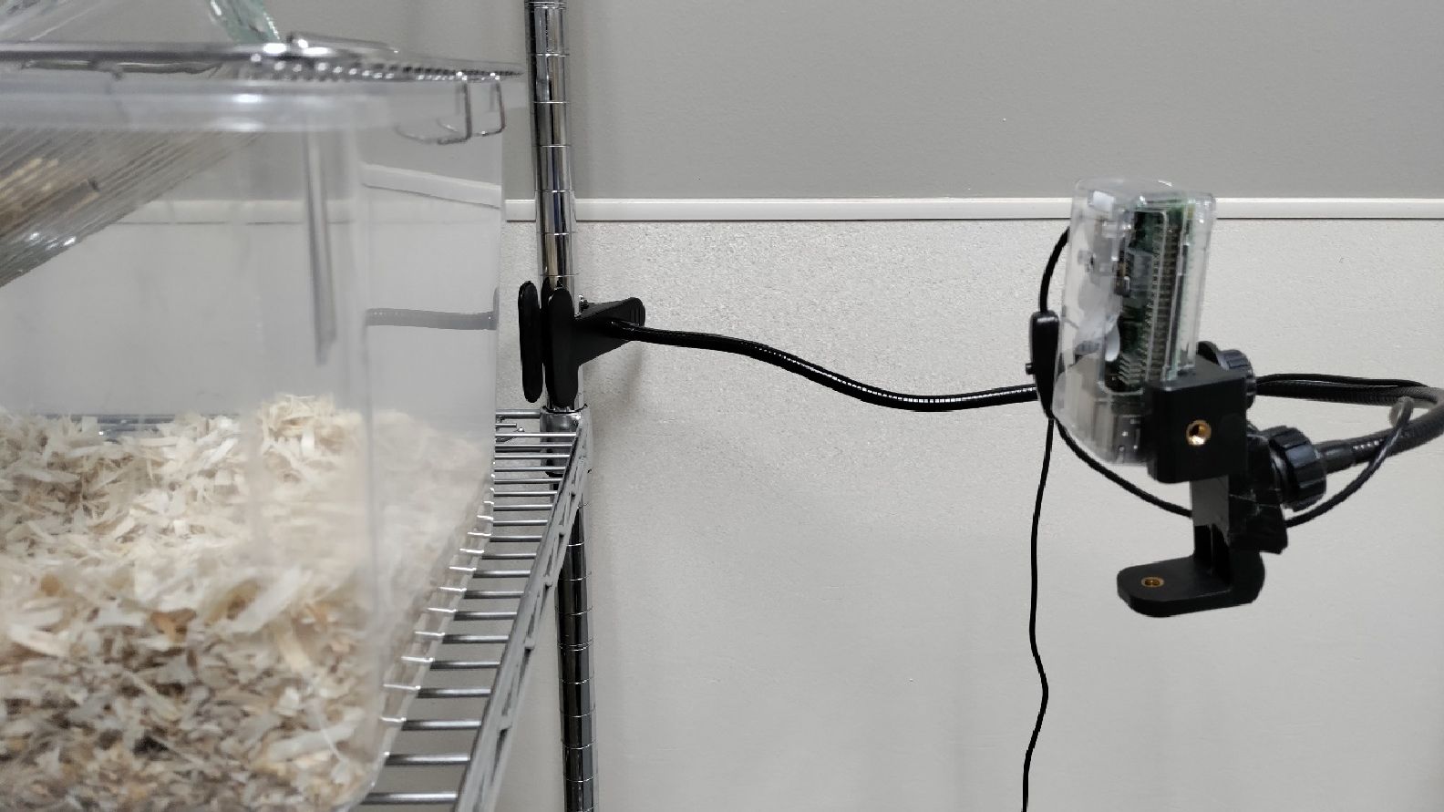Lab Rats Security System Raspberry Pi Monitors Lab Rats for Behavioral Analysis Study | Tom's ...