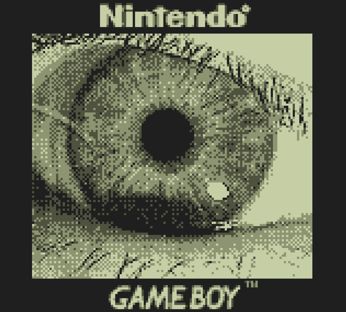 This Game Boy Camera can shoot photos of the moon