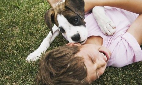 Dogs may make you laugh (which is good), but they also reportedly caused eight times more injuries to their owners than cats did. 