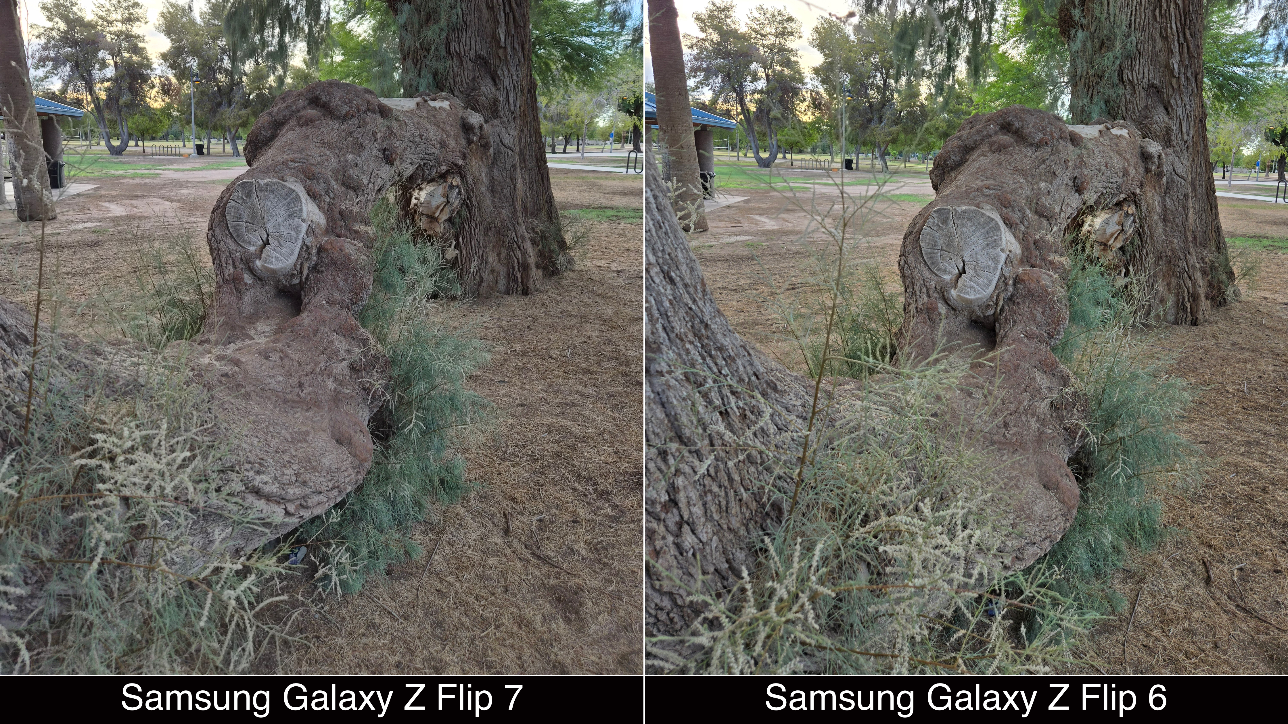 Camera comparisons shot on Samsung Galaxy Z Flip 7 and Flip 6.