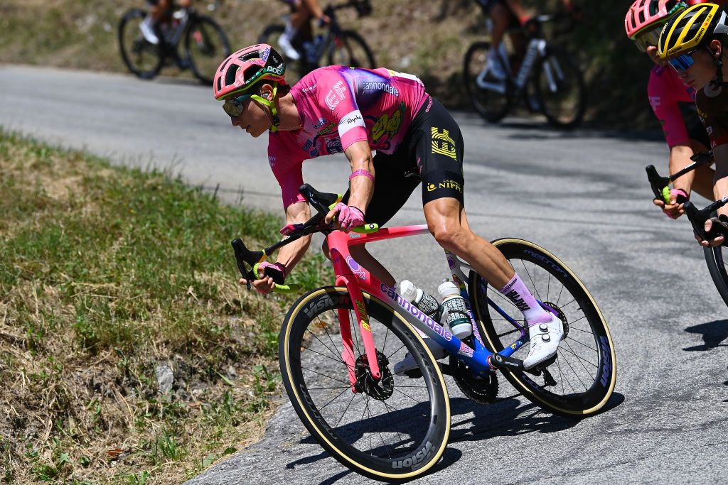 SERRE CHEVALIER FRANCE JULY 13 Neilson Powless of United States and Team EF Education Easypost cmduring the 109th Tour de France 2022 Stage 11 a 1517km stage from Albertville to Col de Granon Serre Chevalier 2404m TDF2022 WorldTour on July 13 2022 in Col de GranonSerre Chevalier France Photo by Tim de WaeleGetty Images